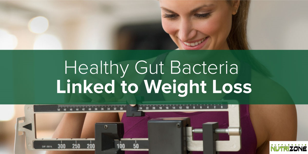 The Importance of Gut Bacteria
