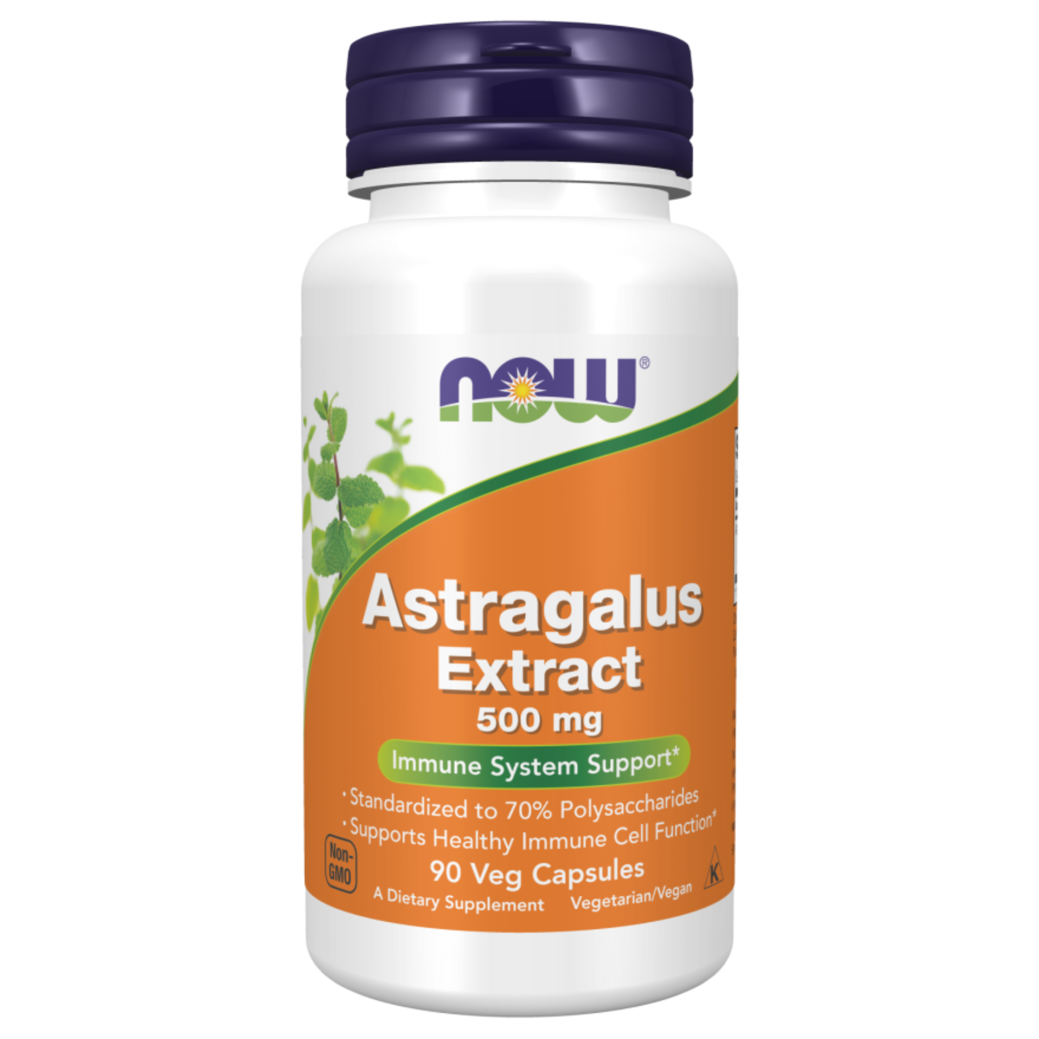 NOW ASTRAGALUS EXTRACT 500 mg  - 90 veg caps