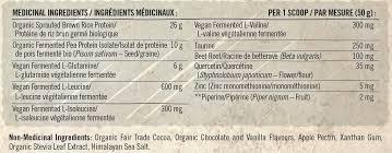 Iron Vegan Sprouted Protein Is An Organic Plant Based Protein Non-GMO That Taste Good 