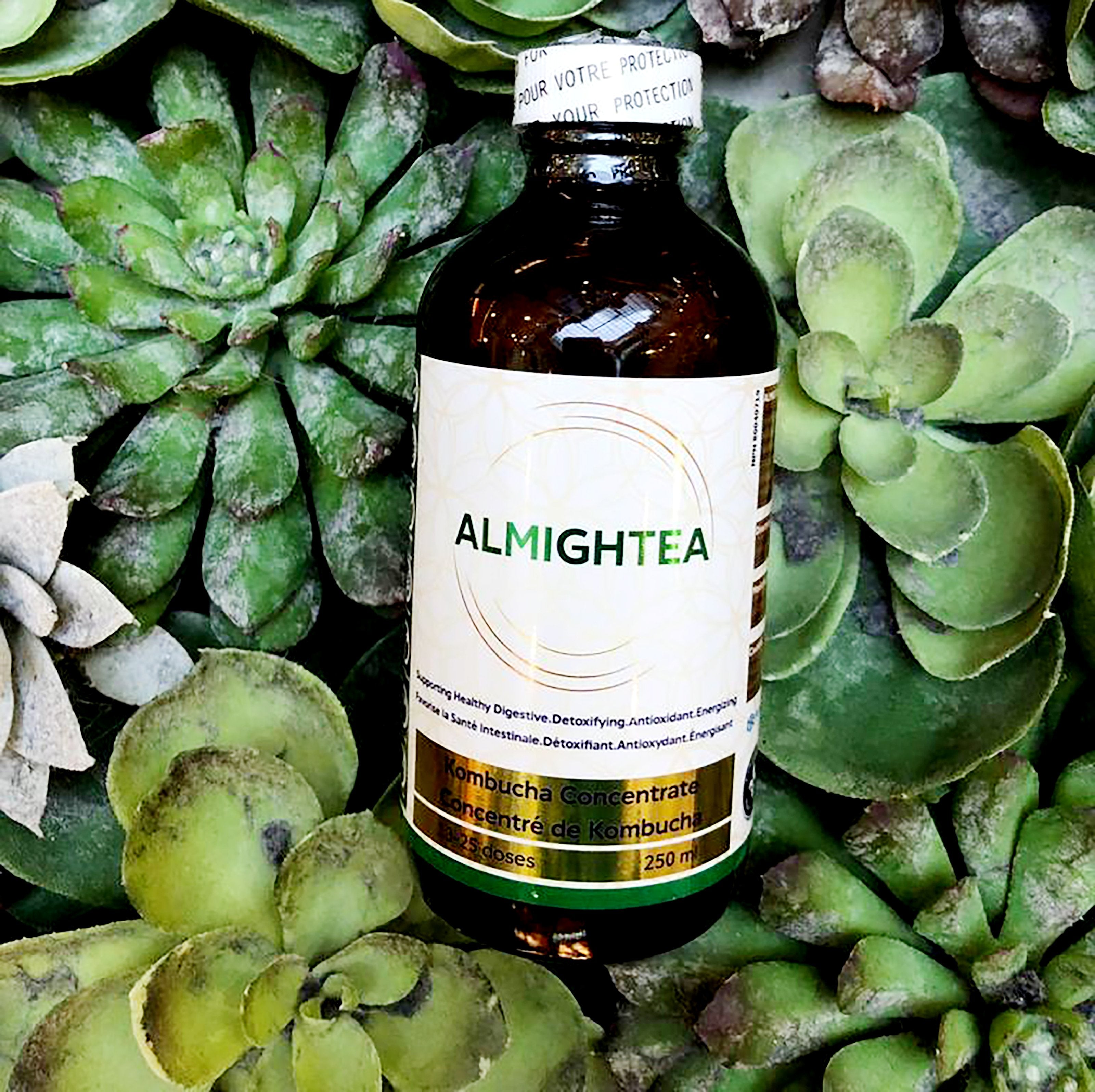 Kombucha ALMIGHTEA 250 ml.