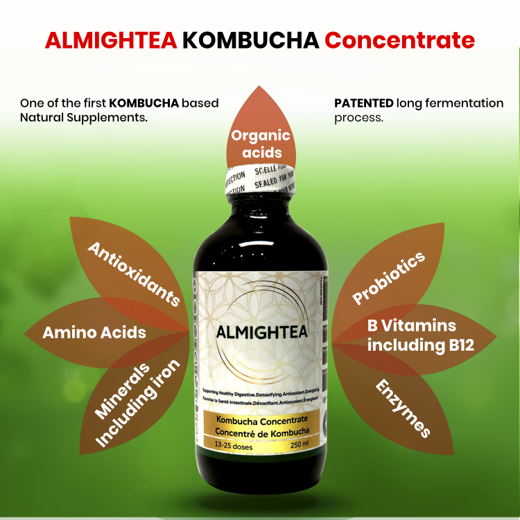 ALMIGHTEA KOMBUCHA 250 ml. 